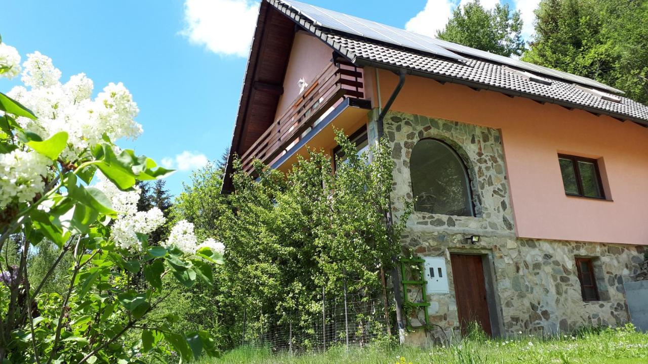 Country House & Spa Mislinja Bagian luar foto