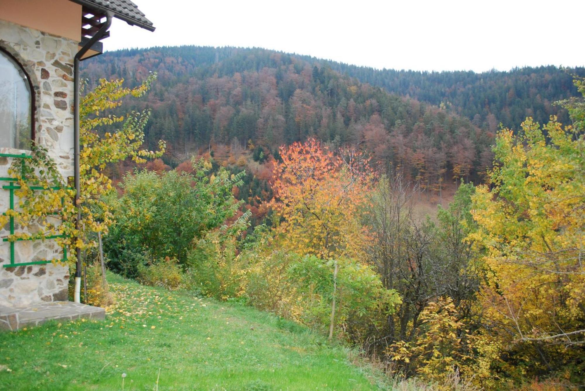 Country House & Spa Mislinja Bagian luar foto